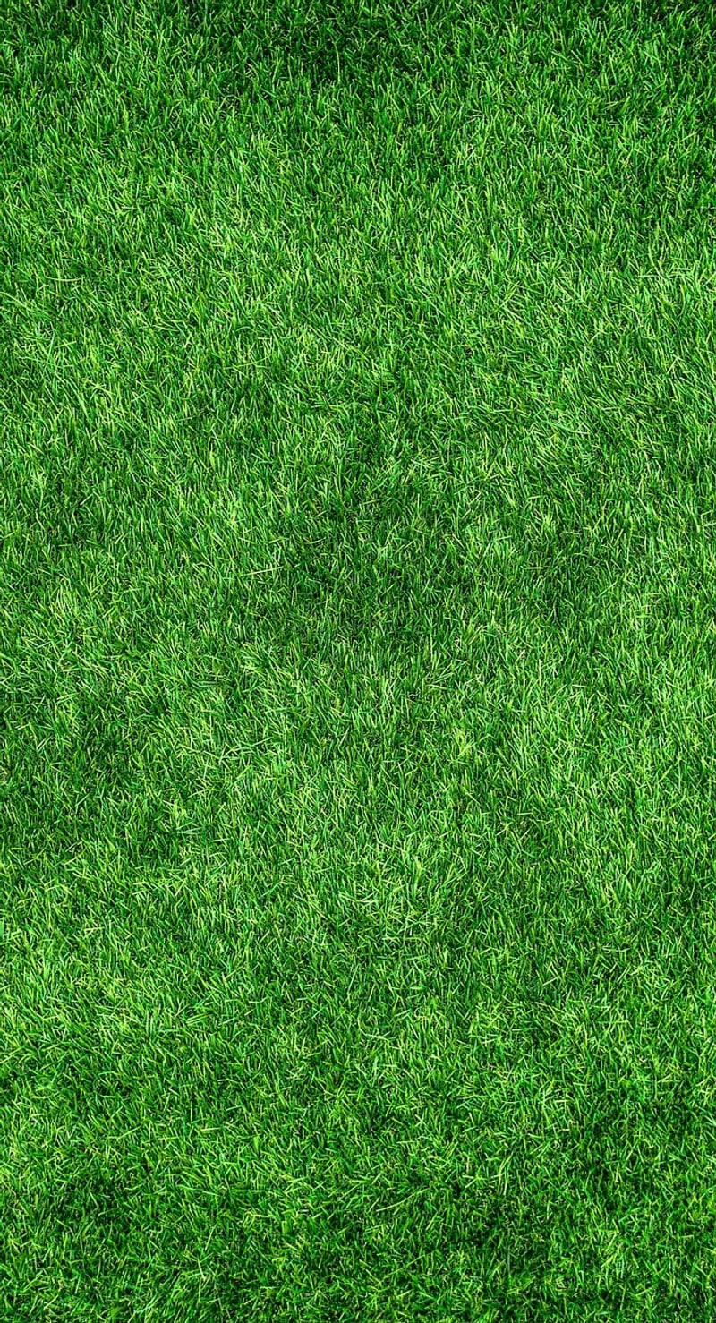 Eco-Friendly Style Tips
